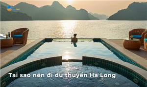 Tại sao nên tham gia tour du thuyền Hạ Long 1 lần trong đời?